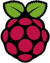 Raspberry Pi logo